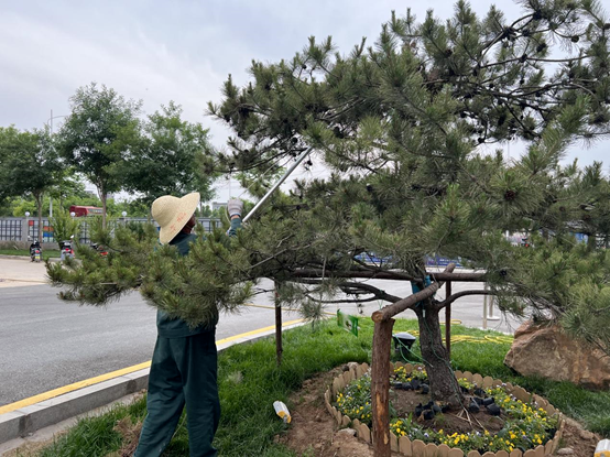走進園區(qū)，感受夏日炎炎里的“理想之城”！