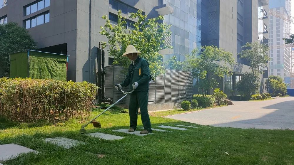 感受夏日，體驗涼爽，走進這座創(chuàng)業(yè)之城！